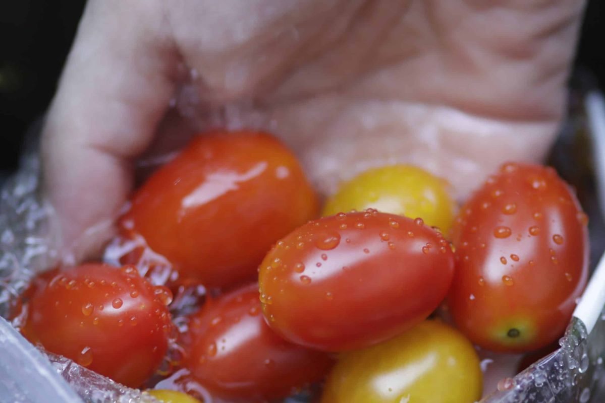 Découvrez comment le vinaigre réduit les pesticides sur vos fruits et légumes