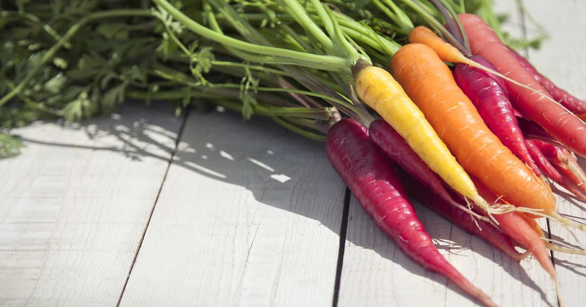 Carottes : 7 variétés à (re)découvrir