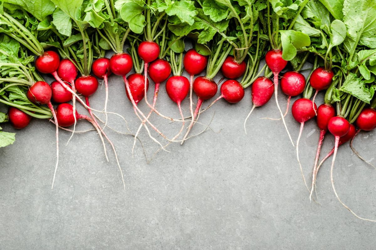 Cuisiner avec des fanes de radis : découvrez leurs bienfaits et recettes