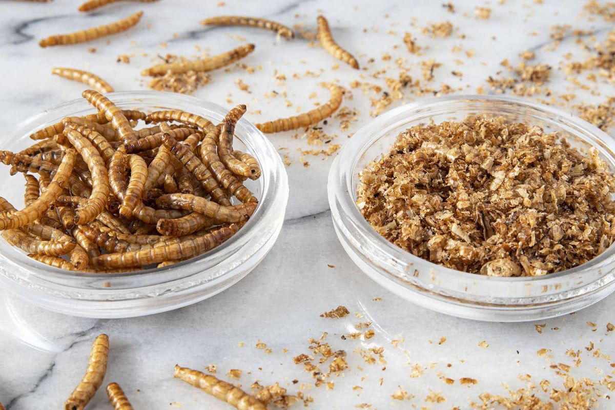 La nouvelle tendance alimentaire : des vers de farine dans vos desserts et pains