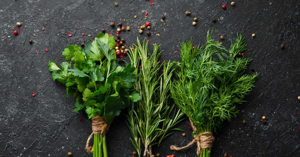 Préservez la fraîcheur de vos herbes : une méthode infaillible
