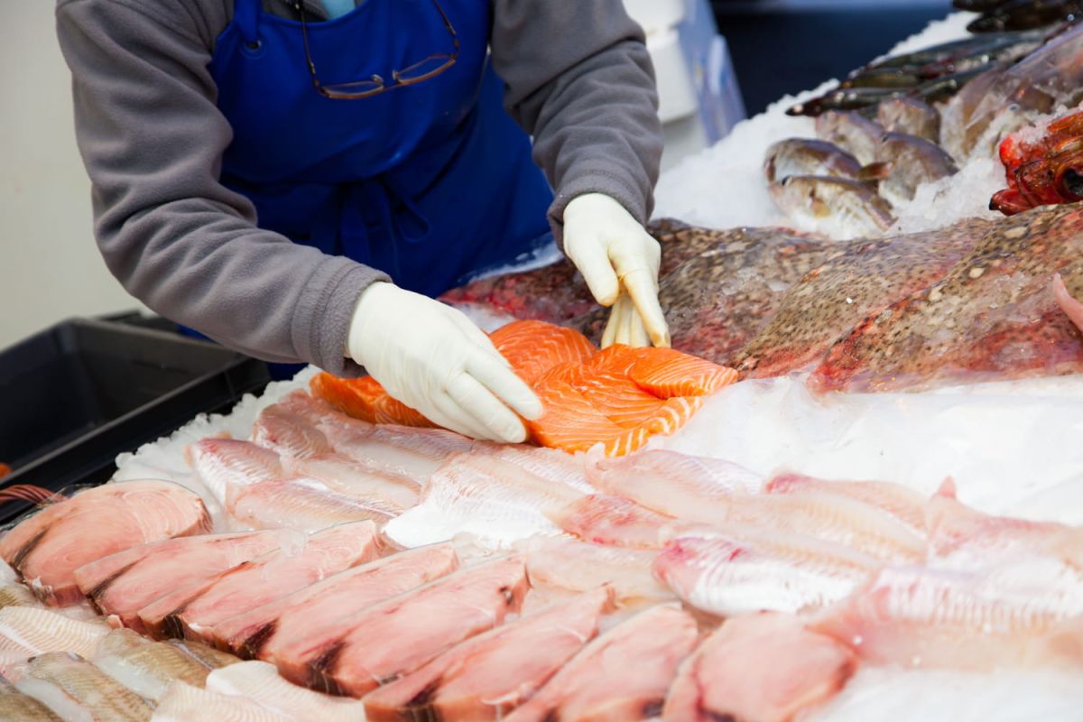 Attention, l'apparence du poisson peut nous induire en erreur