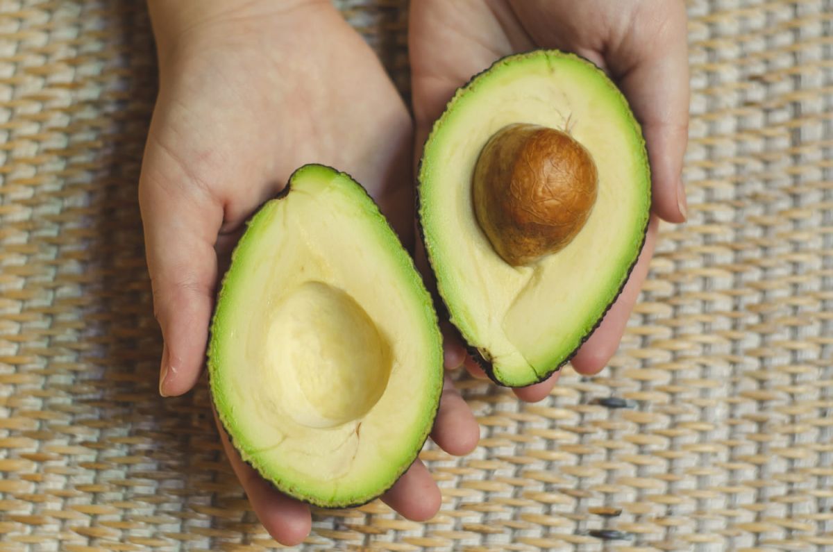 Un découvrir astucieux pour sauver votre avocat trop tôt coupé