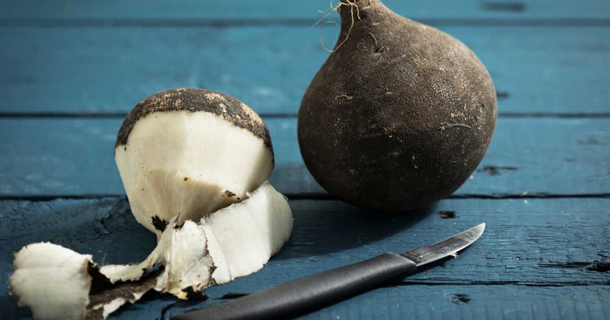 Cuisiner le radis noir : trois recettes détox à découvrir