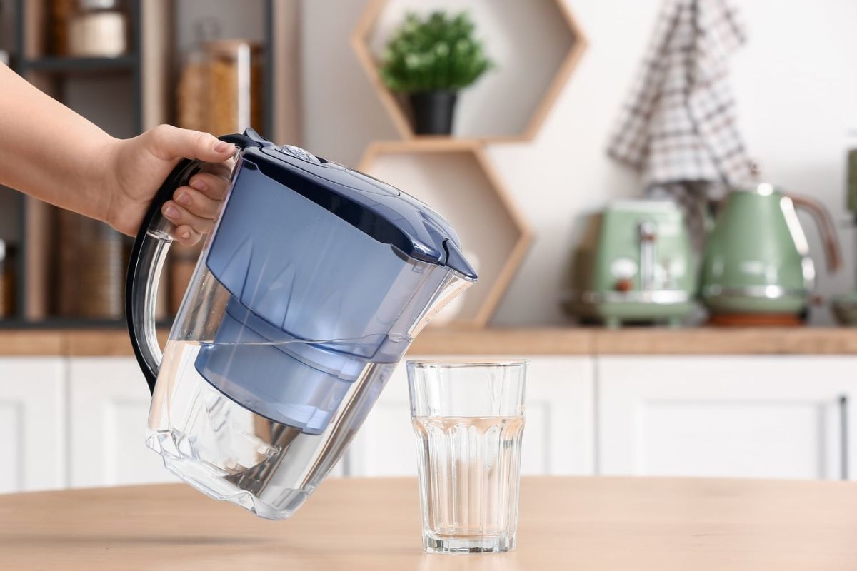 Carafe filtrante ou charbon végétal : quelle est la meilleure option pour votre eau ?