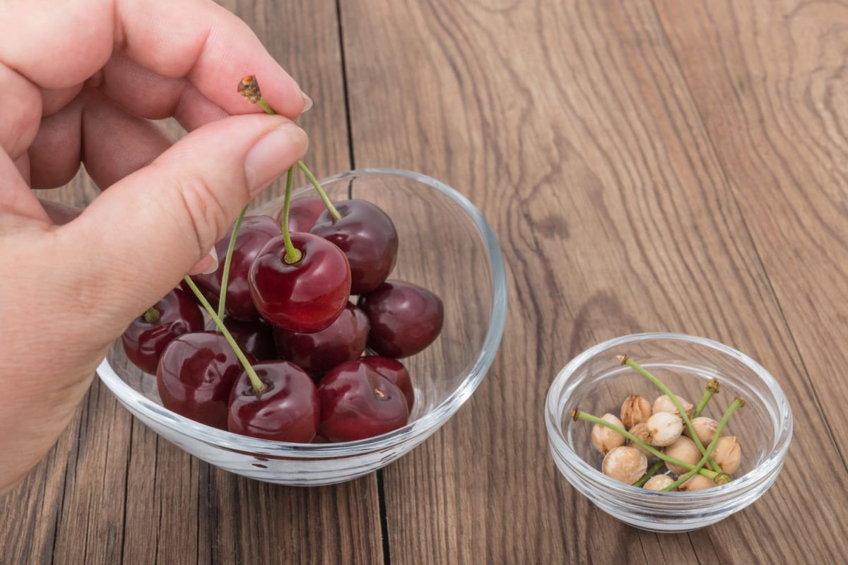 Comment dénoyauter des cerises rapidement et facilement ?