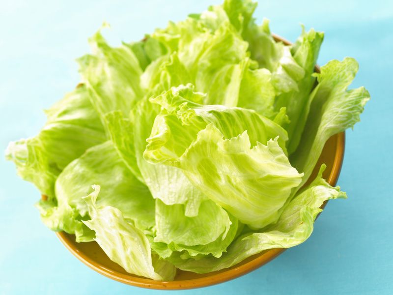 Découvrez les bienfaits insoupçonnés de la salade Iceberg pour la minceur