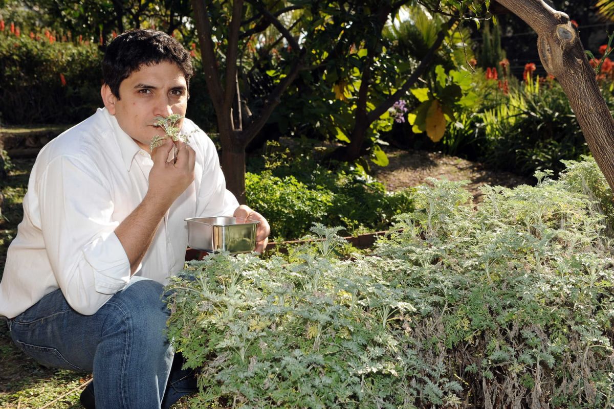 Mauro Colagreco : le chef étoilé qui redéfinit la gastronomie
