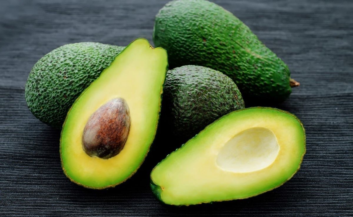 L'avocat : fruit aux mille qualités