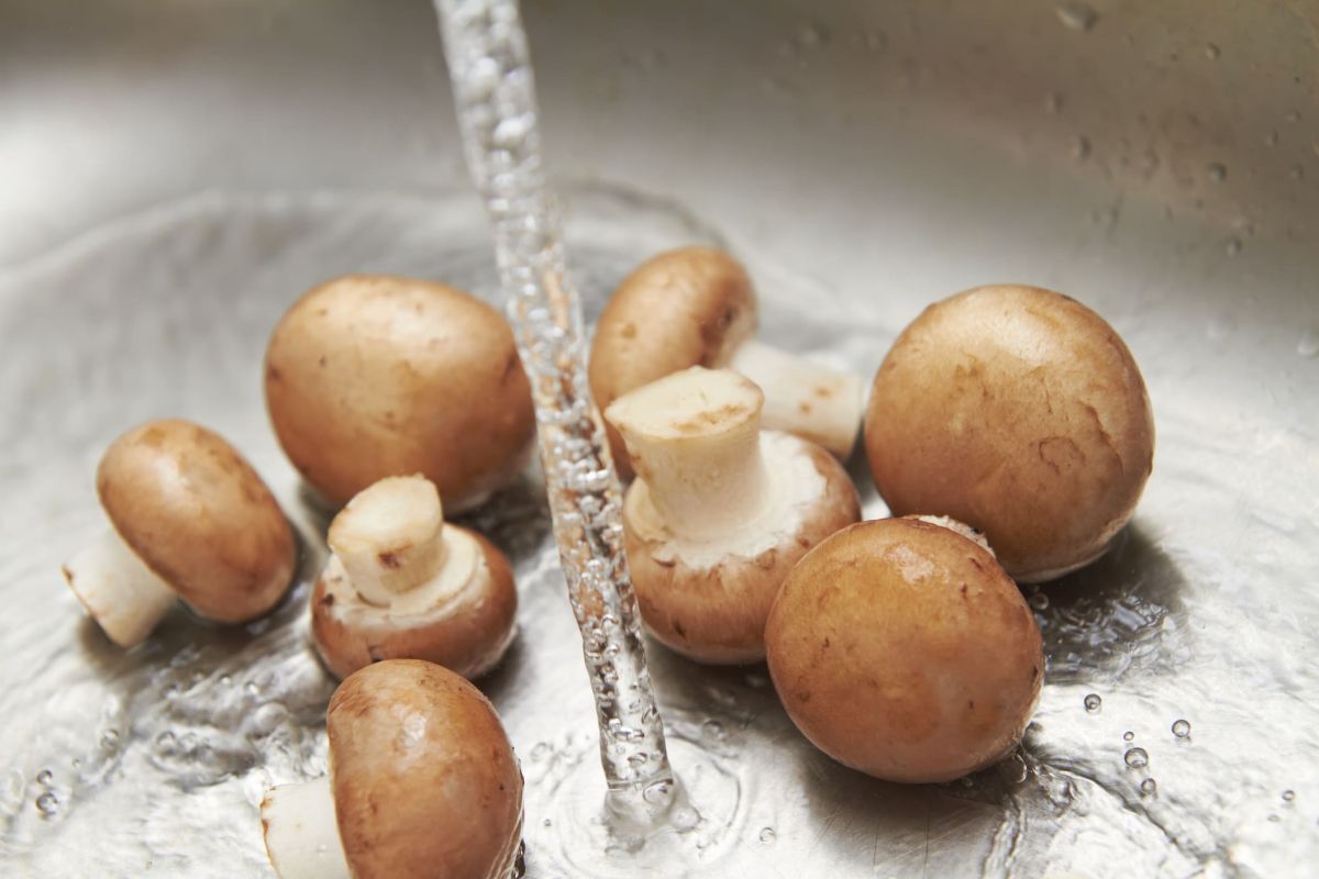 Préservez la saveur des champignons de Paris : la méthode des chefs révélée