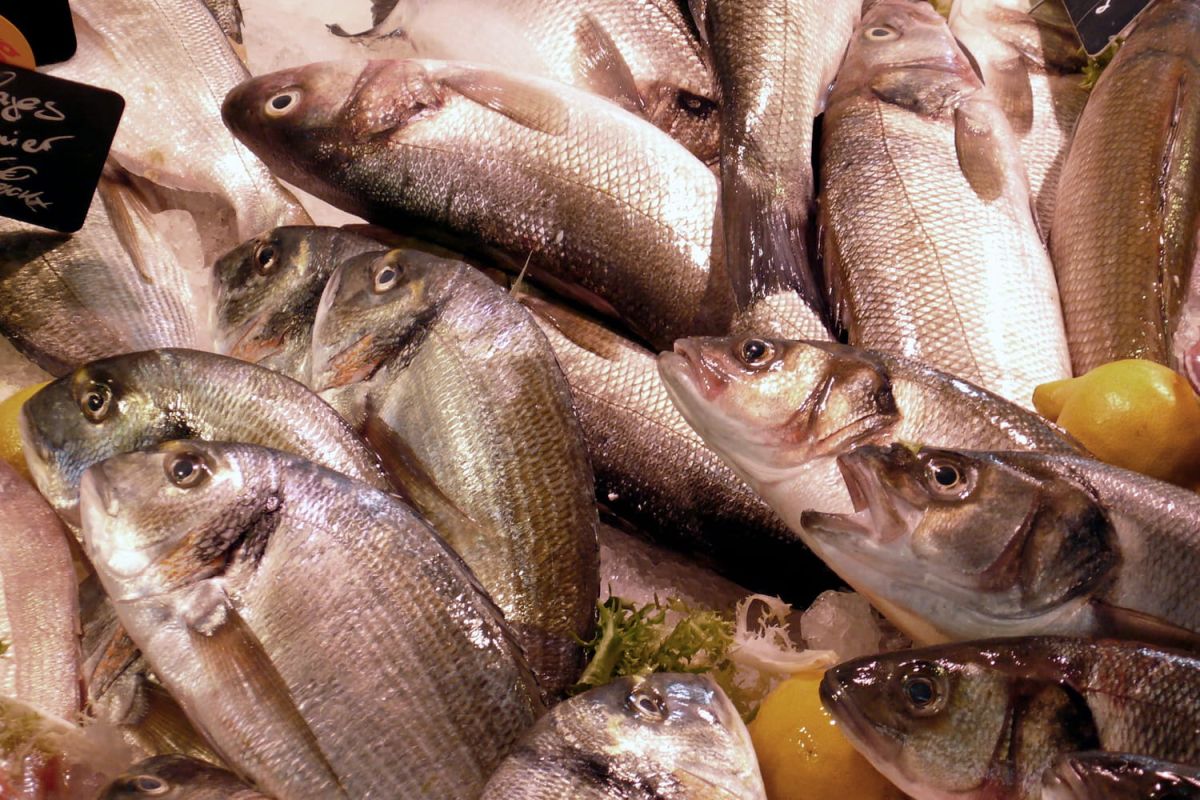 Cuisiner à petit prix : les astuces d'un chef étoilé pour régaler vos papilles