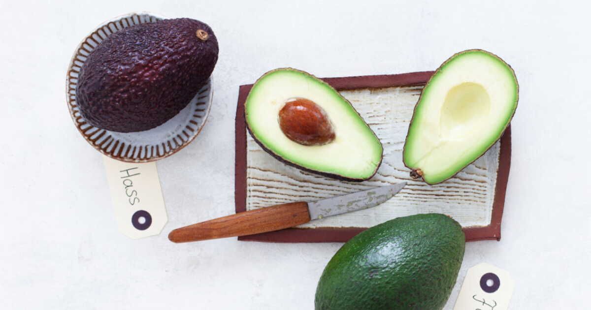 Savourez l'avocat : les recettes incontournables à découvrir