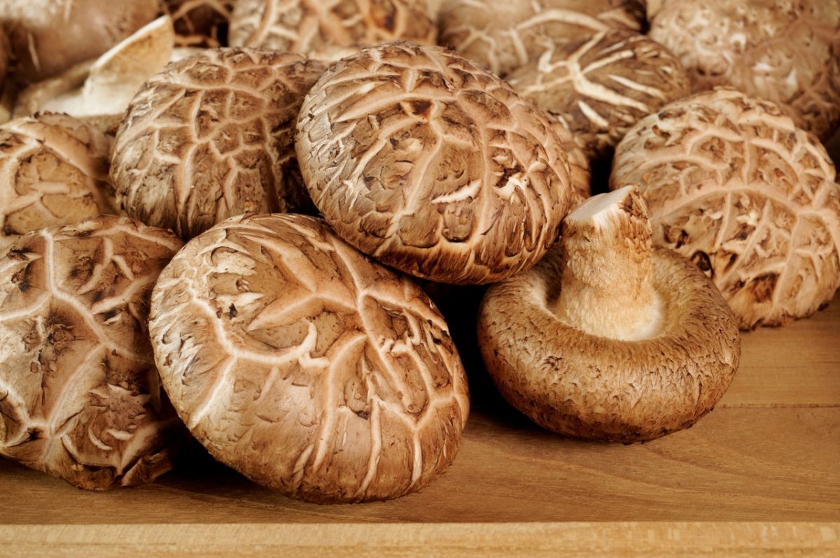 Découvrez cette astuce inédite pour profiter pleinement des bienfaits des champignons