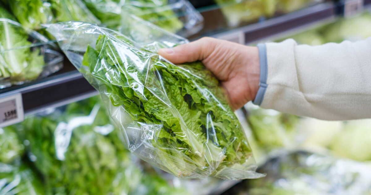 5 salades en sachet à consommer sans crainte de pesticides