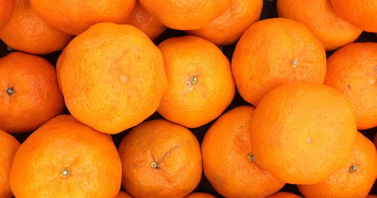 Profitez de la saison des oranges : 6 recettes délicieuses à découvrir