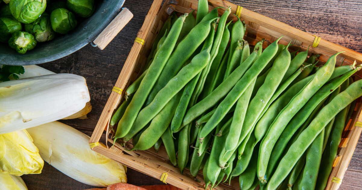 la cuisson parfaite des haricots plats : conseils pour les garder croquants et colorés