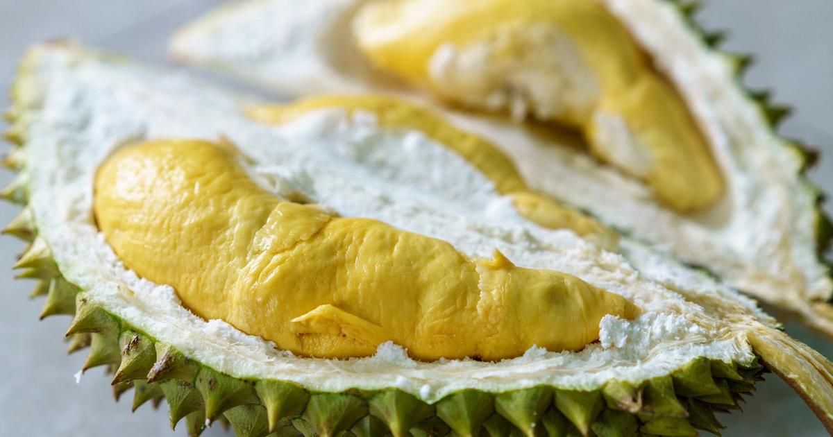 Le durian : un fruit intrigant aux arômes déroutants et à la saveur controversée