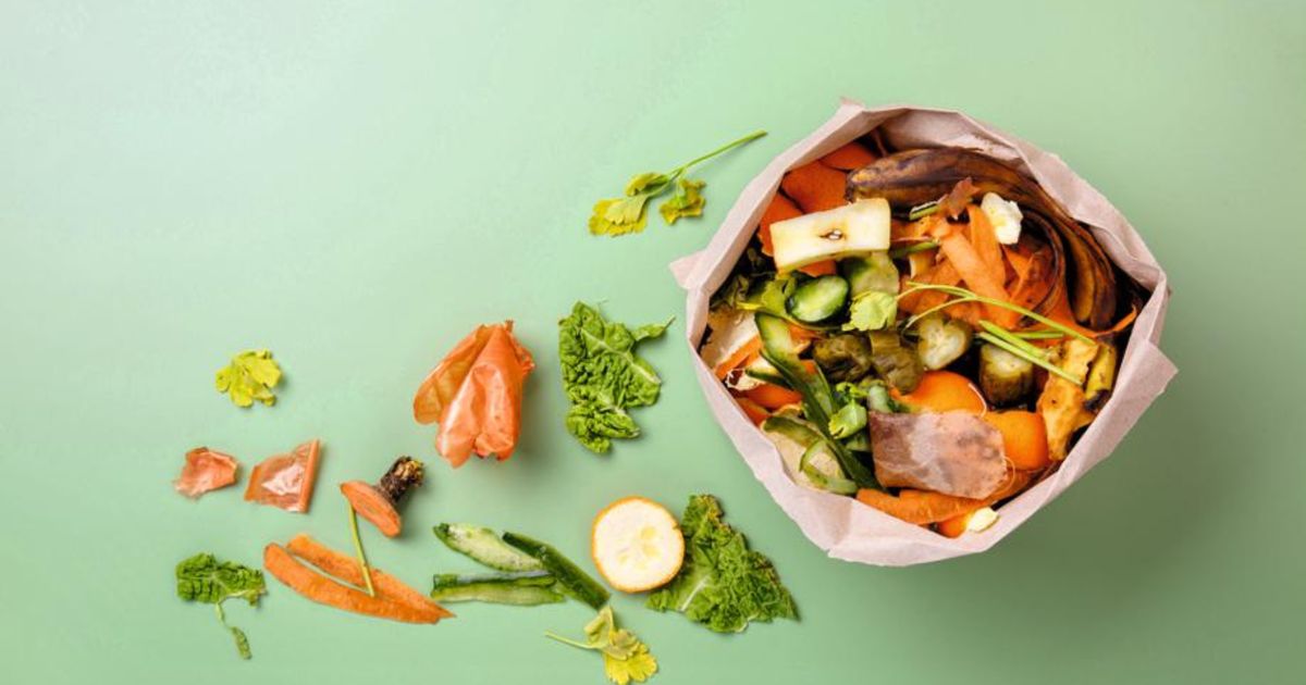 Adoptez le compostage à domicile : un guide pratique pour tous