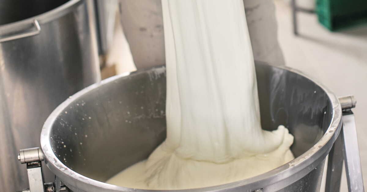 À la découverte de la mozzarella artisanale française